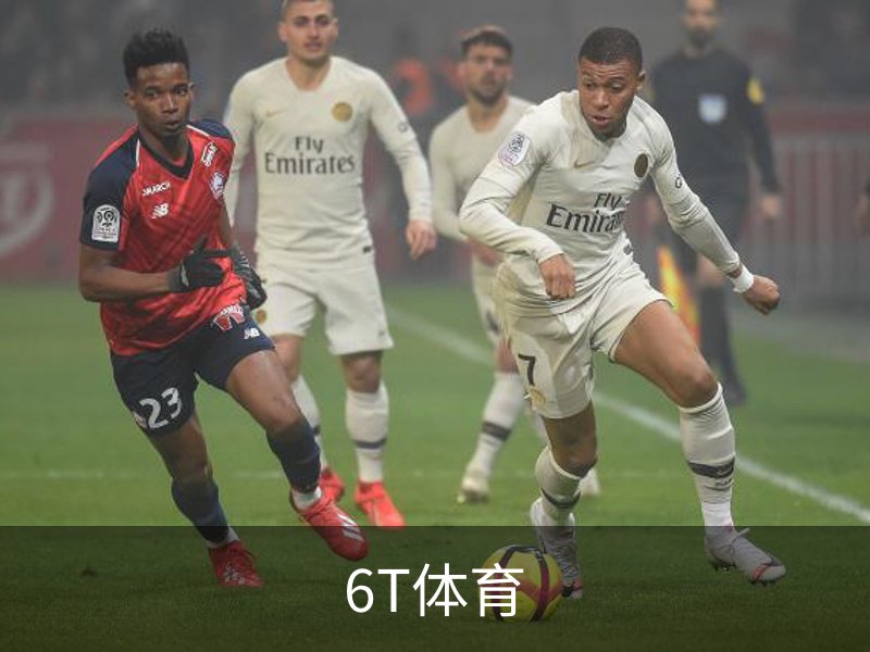 6T体育介绍